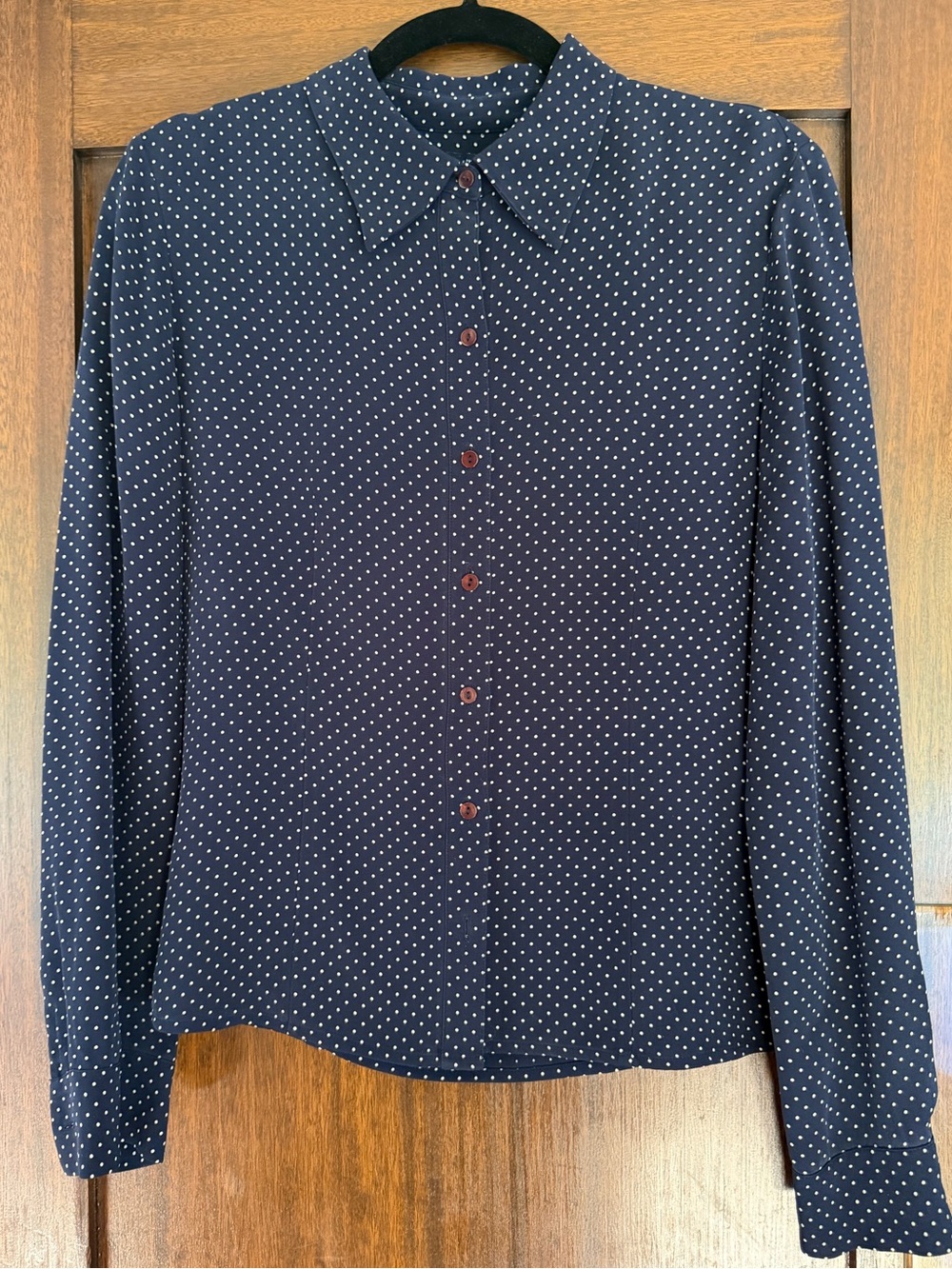 Anne Taylor Silk Polkadot Blouse
